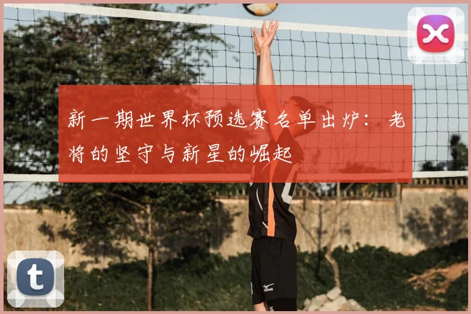 新一期世界杯预选赛名单出炉：老将的坚守与新星的崛起