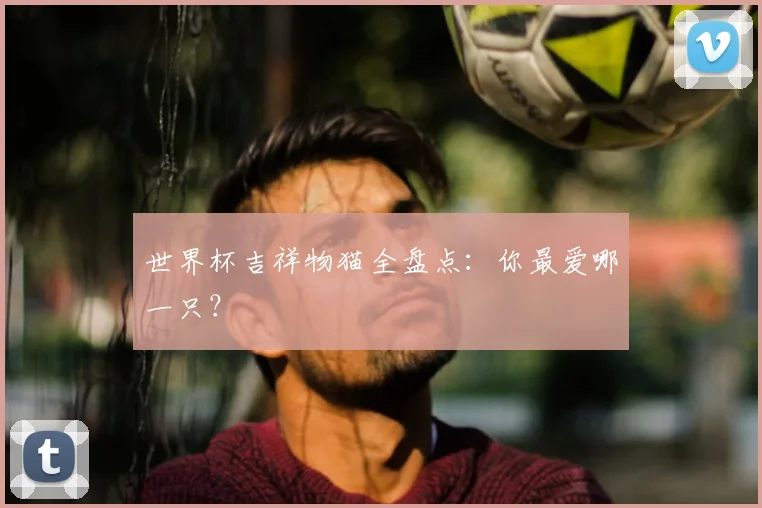 世界杯吉祥物猫全盘点:你最爱哪一只?