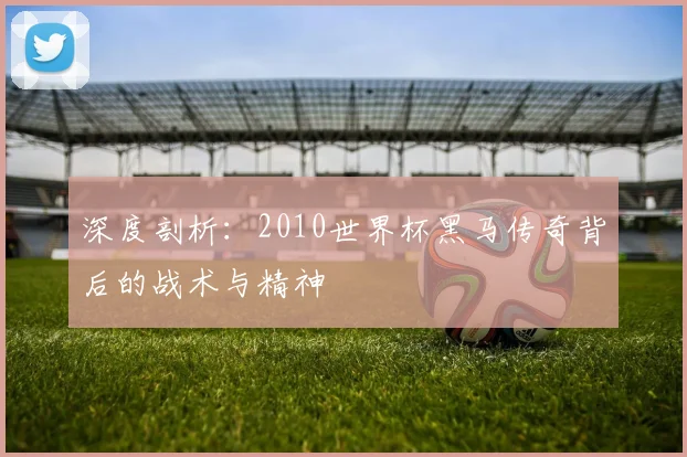 深度剖析:2010世界杯黑马传奇背后的战术与精神