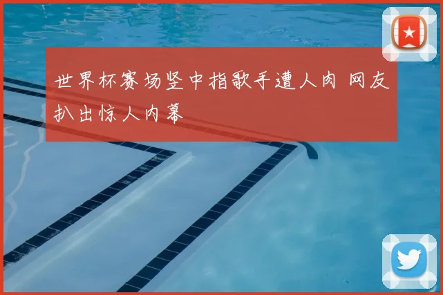 世界杯赛场竖中指歌手遭人肉 网友扒出惊人内幕