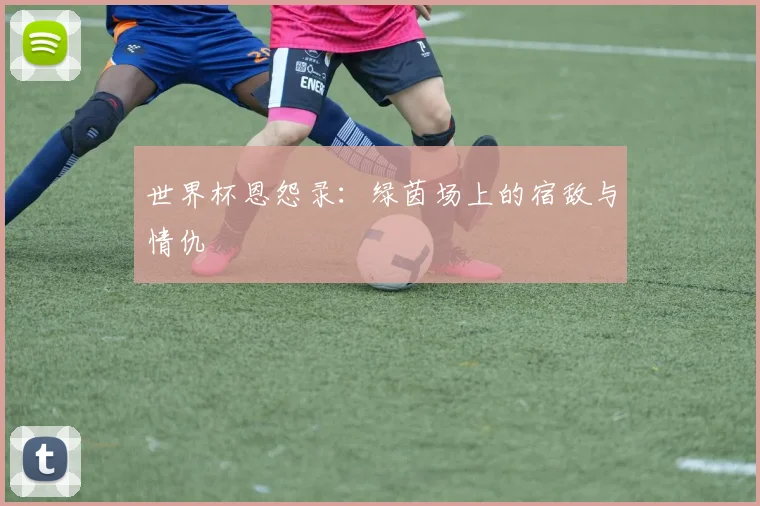 世界杯恩怨录:绿茵场上的宿敌与情仇
