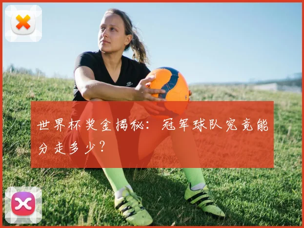 世界杯奖金揭秘：冠军球队究竟能分走多少？